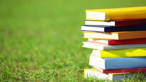 Ein Stapel bunter Bücher liegt auf einem grünen Rasen
