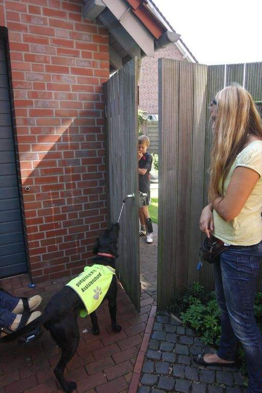 Begleithündin öffnet Gartentür